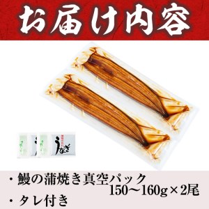 うなぎの大楠＜大＞2尾セット計300g(150g×2) うなぎ 鰻 ウナギ 2尾 国産 九州産 蒲焼き かばやき 冷凍 うな重 ひつまぶし タレ 山椒 真空パック ランキング 人気 a5-244