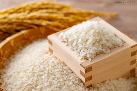 米 精米 夢つくし 5kg 福岡県産  [um40azo780016] 米