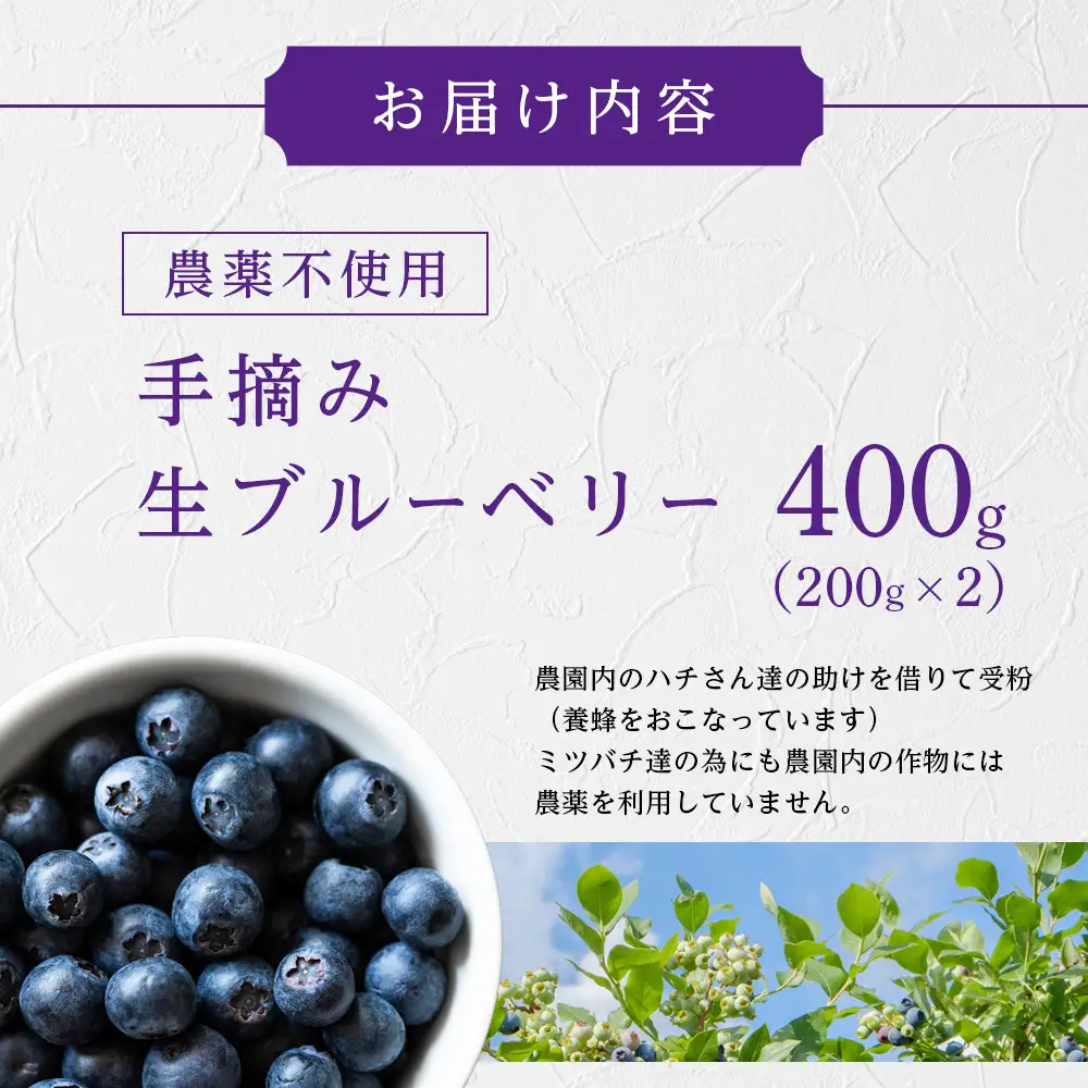 【農薬不使用】 手摘み生ブルーベリー 400g