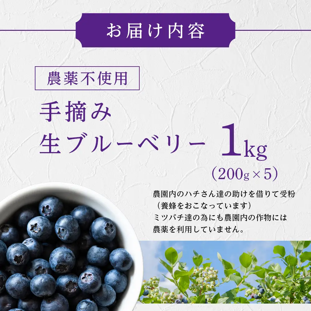 【農薬不使用】 手摘み生ブルーベリー 1kg