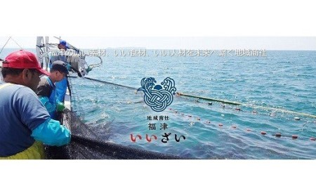 【2026年7月中旬～8月発送】福津市津屋崎漁港　天然活さざえ　約1.5kg [H0038]