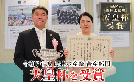 国産 よさこい尾鶏 手羽中 唐揚げ チキンスペアリブ 1.2kg スパイシー おつまみ 鶏肉 冷凍