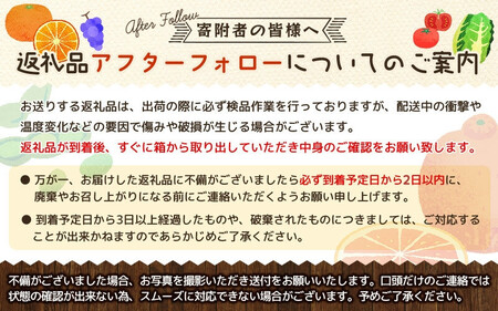 【全3回】紀州和歌山産旬のフルーツ定期便 (桃・梨・ピオーネ) / フルーツ 柑橘 和歌山 もも モモ 梨 なし ぶどう 葡萄 シャインマスカット ピオーネ 紫苑 【tkb424】