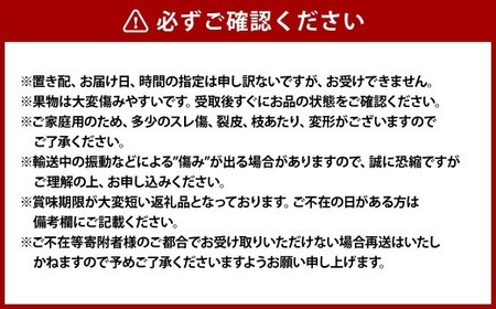 《ご家庭用》 おかやまの桃（大玉）3玉 （合計約900g） もも 桃 岡山県産 国産 フルーツ スイーツ 大玉 果肉 美味しい 甘い 柔らかい 岡山県 倉敷市【2026年7月上旬～8月下旬迄順次発送予定】
