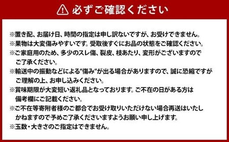 《ご家庭用》 おかやまの黄金桃 5～6玉 （約1.3kg） もも 桃 黄金桃 岡山県産 国産 フルーツ スイーツ 大玉 果肉 美味しい 甘い 柔らかい 岡山県 倉敷市 【2026年8月下旬～9月下旬発送予定】