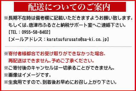 生食用 国産 黒まぐろ中落ち・切り落としセット 各約500g (合計約1kg) マグロ 鮪 刺身 さしみ 魚 魚介 海鮮 海産物