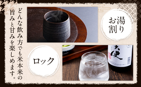 球磨焼酎 堕天使 25度 900ml 3本 焼酎 米焼酎
