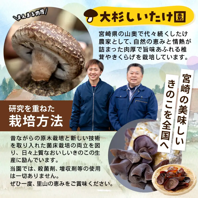 香りを堪能「きのこ餃子」&食感楽しむ「きくらげ餃子」食べ比べ66個〔12-87-002〕_(都城市) ギョウザ きくらげ餃子 きのこ餃子 にんにく使用 大杉しいたけ園 2種 食べ比べ 焼き餃子 水餃子 揚げ餃子