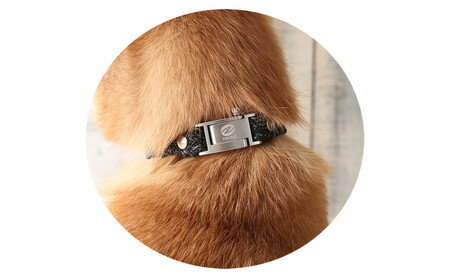 【Size29cm】ザオラル・リカバリーαバンド BK/SI｜横浜市 高機能バンド ペット用アクセサリー APY0014VC06