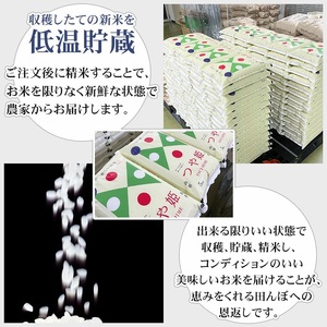 【令和7年産】 工藤さんの特別栽培米 つや姫 無洗米 5kg（5kg×1袋） 山形県鶴岡市産 株式会社サンエイファーム　| 米 つや姫 5kg 特別栽培米 無洗米 国産ブランド米 米どころ 庄内米 食味ランク 特A ご飯 おにぎり 冷めても 美味しい お弁当 おすすめ 人気 家計応援 東北 山形 鶴岡 送料無料