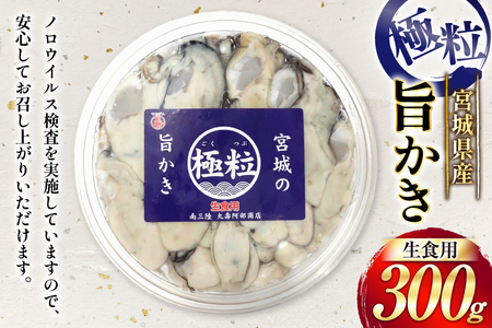 【期間限定発送】 宮城県産 むき身 極粒旨かき 生食用 300g ×1p[丸壽阿部商店 宮城県 南三陸町 m304bir010000]