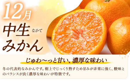 【3ヶ月定期便】みかん 定期便 秀品 温州みかん ペシャル 計30kg 日本フルーツ株式会社《10月上旬-12月末頃出荷》熊本県 長洲町 ミカン 蜜柑 柑橘類 極早生 早生 中生 果物 フルーツ