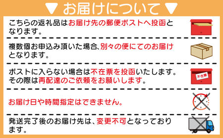 干し芋 紅はるか 100g×6パック 干し芋 at-0068