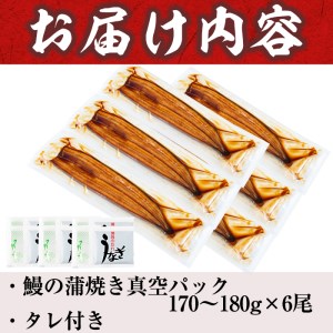 大楠 うなぎ 蒲焼  特大 6尾 セット(計1kg超) d5-001