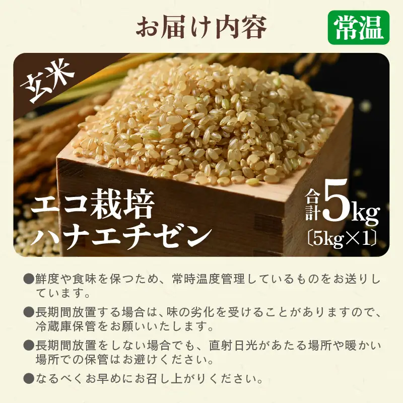 【先行予約】【令和8年産 新米】 エコ栽培ハナエチゼン　玄米5kg ／ 鮮度抜群 福井県産 はなえちぜん ご飯 新鮮 玄米 ※2026年9月上旬以降順次発送予定 [aw063-a015]