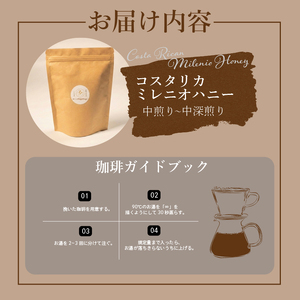 【 自家焙煎 珈琲 】 コーヒー 粉 200g コーヒー