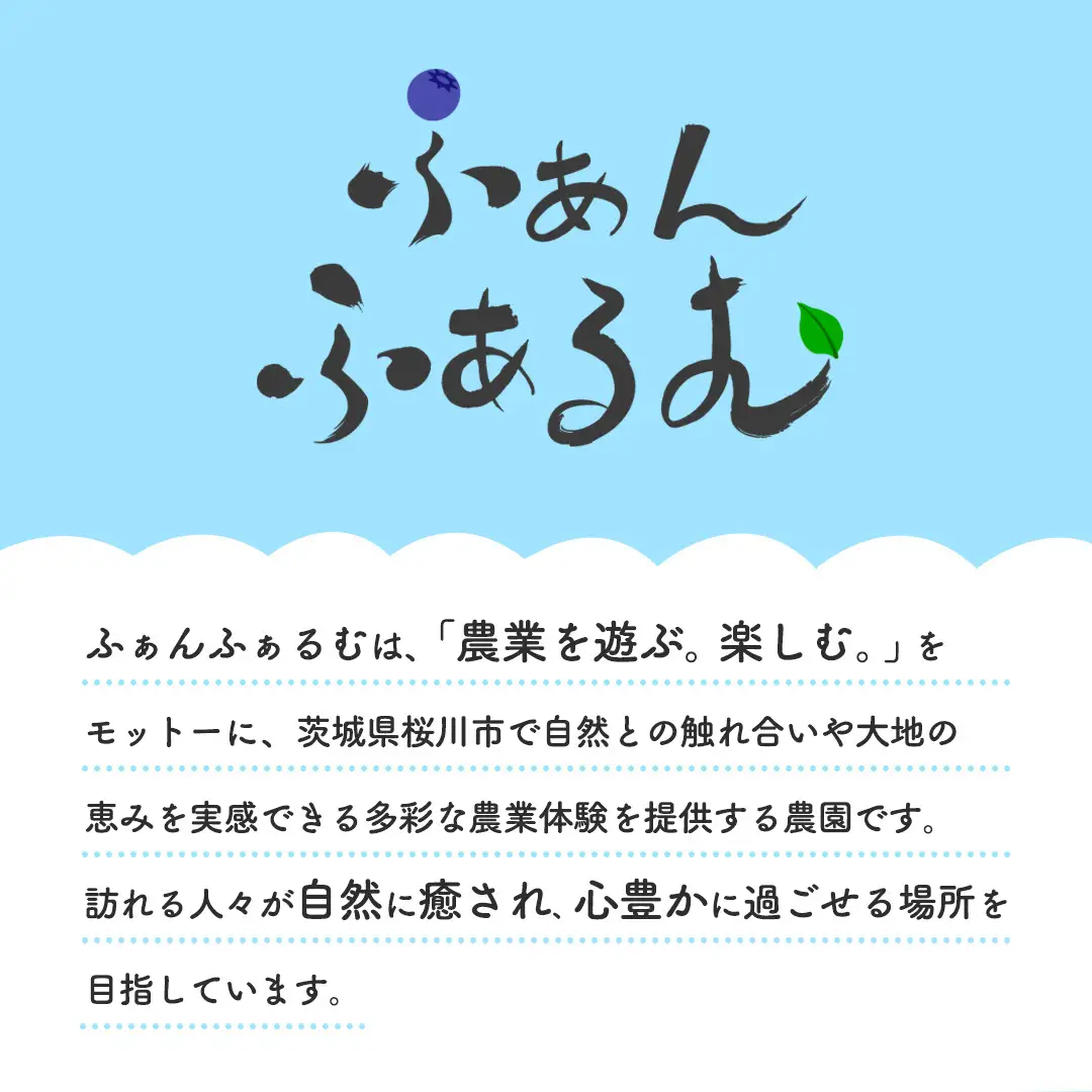 さつまいも [ 紅はるか ] 収穫 体験チケット 《お土産付き》 ｜ 収穫 収穫体験 体験 チケット 招待券 レジャー 観光 旅行 ふれあい お土産 おみやげ 持ち帰り 自然 農業体験 [DZ020sa]