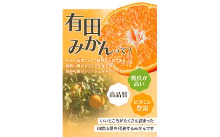 【2026年10月発送予約分】＼光センサー選別／ 【農家直送】【家庭用】こだわりの有田みかん 約4kg＋250g(傷み補償分)  先行予約 有機質肥料100% サイズ混合 【10月発送】みかん ミカン 有田みかん 温州みかん 柑橘 有田 和歌山 ※北海道・沖縄・離島配送不可/みかん ミカン 有田みかん 温州みかん 柑橘 有田 和歌山 産地直送【nuk148-10】