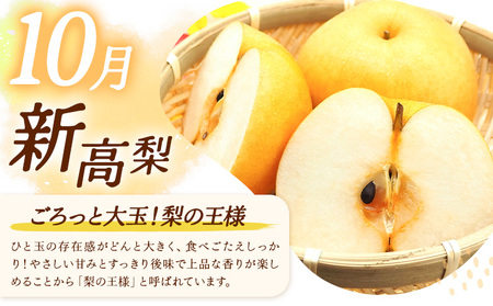 秀品 3ヶ月連続 梨の定期便 ミニ 計5.4kg 日本フルーツ株式会社《8月上旬-10月末頃出荷》熊本県 荒尾市  梨 なし 豊水梨 秋月梨 新高梨 果物 フルーツ 定期便