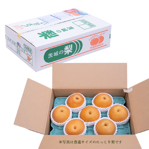 ＜農家直送＞梨 にっこり 4～6個 (3kg) 先行予約 2026年発送 完熟 フルーツ 果物 産地直送 糖度 高い 梨 茨城 人気  (BB006)