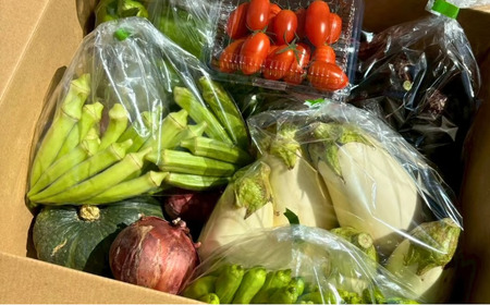 季節の野菜詰め合わせ Aセット 野菜食べ比べ 旬の野菜 野菜セット | 石川県 小松市【Kacchan.Farm】