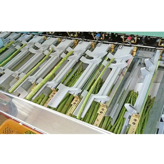 砂川さんの特選 アスパラ 1kg 2Lサイズ【さぬきのめざめ】 アスパラガス 冷蔵便 野菜 甘い 美味しい グリーンアスパラ 1万円 10000円 肉厚 野菜セット 新鮮 旬 とれたて お取り寄せ 小分け BBQ 自宅用 家庭用 