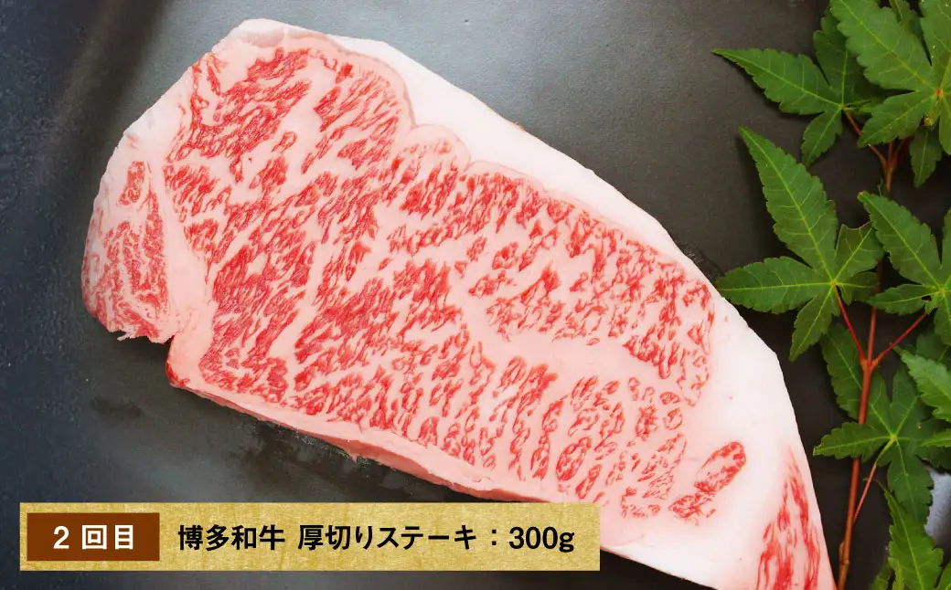 【 6回 定期便 】堀ちゃん牧場 博多和牛贅沢定期便 牛肉 牛 肉 にく ニク お肉 和牛 博多和牛 ロース 冷凍 国産 福岡県産 モツ鍋 もつ鍋 もつ モツ お鍋 セット ステーキ 焼肉 贅沢