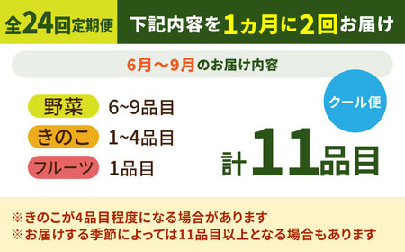 【24回定期便】野菜定期便15品目以上 [SCZ003]