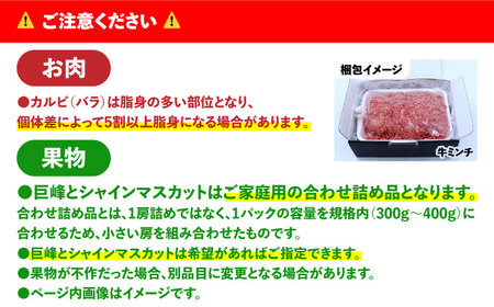【6回定期便】長崎和牛と旬のフルーツが楽しめる バラエティ定期便 / フルーツ定期便 果物定期便 肉定期便 牛肉 びわ メロン ぶどう みかん / 南島原市 / 贅沢宝庫[SDZ055]
