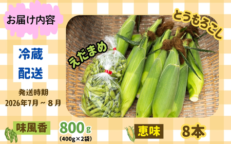 とうもろこし（恵味）・枝豆セット《2026年7月上旬頃より出荷予定》木内ファーム_とうもろこし Ca-006
