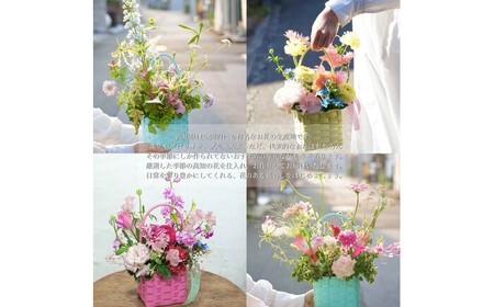 【3回定期便】季節の生花カラーバスケットフラワーS / お花 フラワー ミニサイズ アレンジメント カラーバスケット おしゃれ インテリア 省スペース プチギフト おまかせ 手作り 雑貨 季節の便り 初心者 高知【株式会社tomoni】[ATCG056]