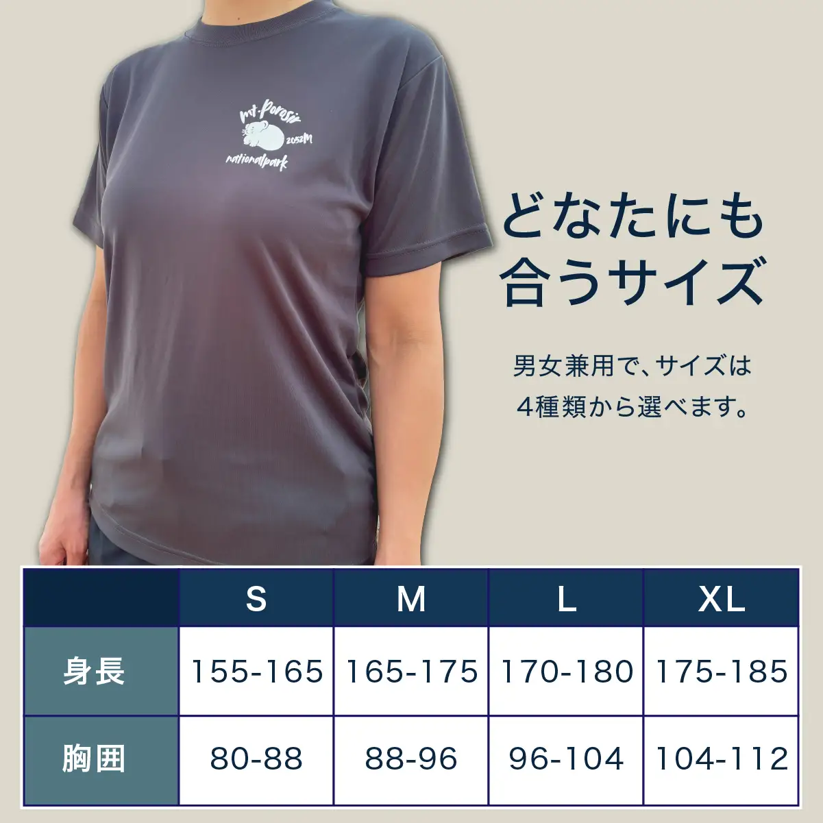 【日本百名山】【2026年限定】幌尻岳記念山詩Tシャツ（グレー Sサイズ） BRTJ040