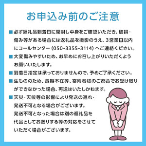 [HS]ぶどう先行予約9月・10月発送シャインマスカット晴王2k箱（3～5房）