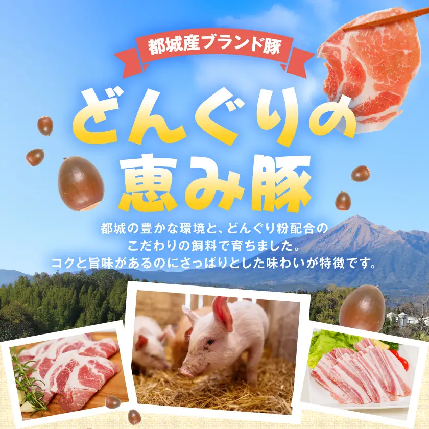 「どんぐりの恵み豚」真空しゃぶしゃぶ1.2kgセット_13-11-002_(都城市) 都城産 都城産ブランド豚 どんぐりの恵み豚 どんぐり粉飼料 しゃぶしゃぶ