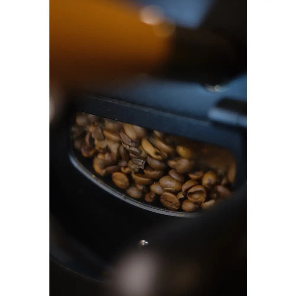 鎌倉 自家焙煎 厳選スペシャルティコーヒー ドリップバッグセット シングルオリジン おまかせ飲み比べ3種 30点（各10点×3種）