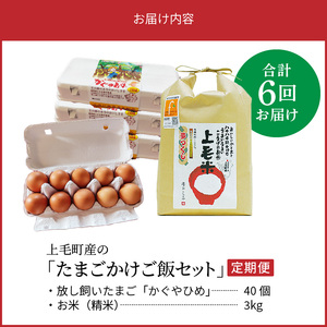 【定期便】上毛町産の「たまごかけご飯セット」（卵40個・米3kg）（専用醤油なし版）6回（毎月）コース _07T-002