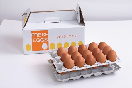 信州産純国産鶏「もみじ」のたまご　50個入り