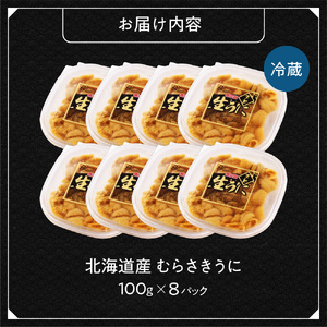 【先行受付】《北海道産》ムラサキウニ 塩水 100g ×8パック＜札幌カネシン水産＞ | ウニ丼 無添加 北海道 札幌市