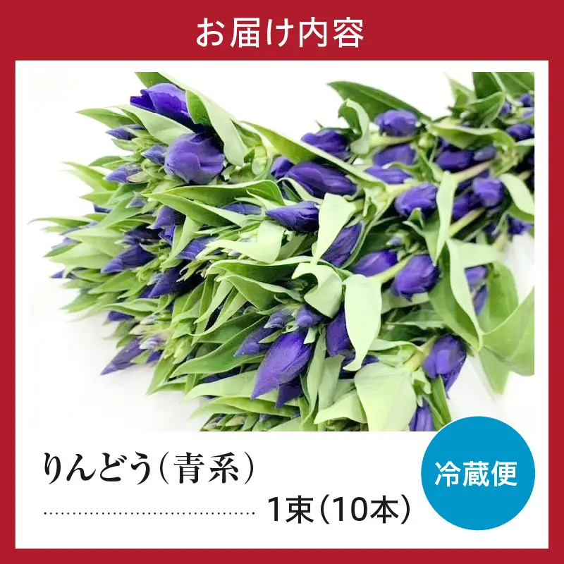 【先行予約】 りんどう 青系 1束 10本入り 花 生花 切花