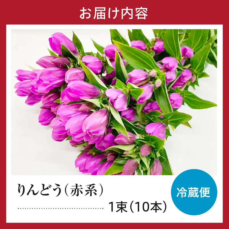【先行予約】 りんどう 赤系 1束 10本入り 花 生花 切花