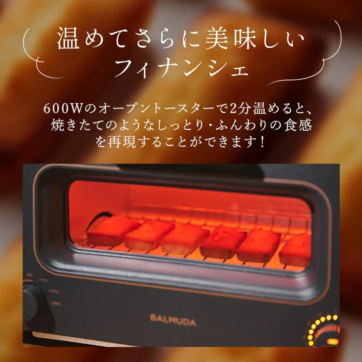 フィナンシェ ＜アンリ・シャルパンティエ＞フィナンシェ16個入　HF-25N2
