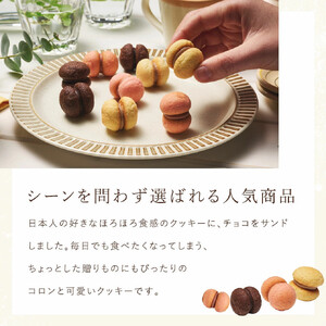 ＜シーキューブ＞サクッチ・ホロッチ　12個入　CSC-12RC