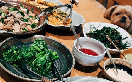 ＼食と元気を結ぶお手伝い／農村レストラン 飛火鞍 収穫体験＆発酵食ランチのお食事のペアチケット 〔D-85〕 | 野菜 やさい 収穫体験 ランチ 発酵食 体験 お食事券 農業体験 那須町 栃木県