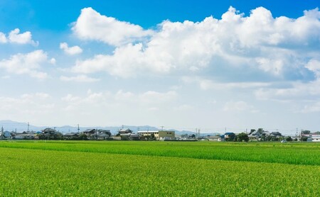博多華味鳥 水たき 約3～4人前 鍋 水炊き