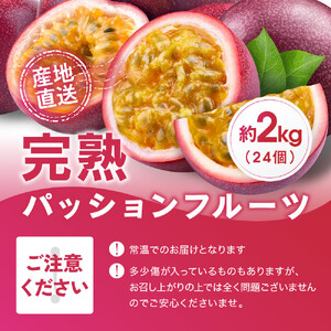 パッションフルーツ (2kg24個入りバラ詰) 2026年6月～出荷開始 | パッションフルーツ