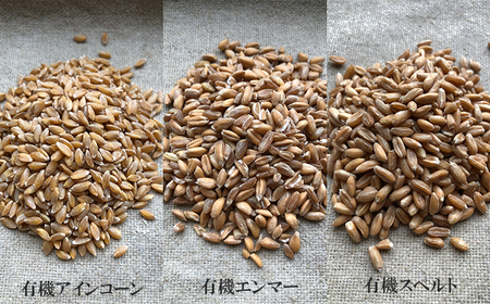 薪窯パン 有機古代小麦3種を使用したこだわりパン 有機古代小麦セレクションA 【 農家パン VERUM 】 ／ パン ぱん ブレッド ベーカリー 古代小麦 薪窯 薪窯焼き 薪窯焼 石窯パン 石窯 卵不使用 乳製品不使用 乳不使用 自家製発酵種 国産 素材にこだわった 手づくり 手作り こだわり 冷蔵 冷蔵便 東北 岩手県 八幡平市 はちまんたい おすすめ