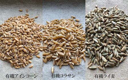 薪窯パン 有機古代小麦3種を使用したこだわりパン 有機古代小麦セレクションB 【 農家パン VERUM 】 ／ パン ぱん ブレッド ベーカリー 古代小麦 薪窯 薪窯焼き 薪窯焼 石窯パン 石窯 卵不使用 乳製品不使用 乳不使用 自家製発酵種 国産 素材にこだわった 手づくり 手作り こだわり 冷蔵 冷蔵便 東北 岩手県 八幡平市 はちまんたい おすすめ