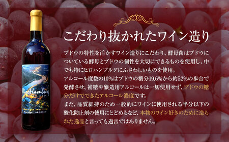 日本ワイン 750ml 2本《30日以内に出荷予定(土日祝除く)》 ワイン