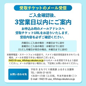 ＜メールで届く！セブン-イレブン受け取り専用チケット＞いいちこ 20度 カップ(200ml×5本) 酒 お酒 むぎ焼酎 麦焼酎 常温 いいちこ 三和酒類 紙パック コンビニ受け取り 引換券 デジタルクーポン 【119100200】【ふるさと納税総合研究所】