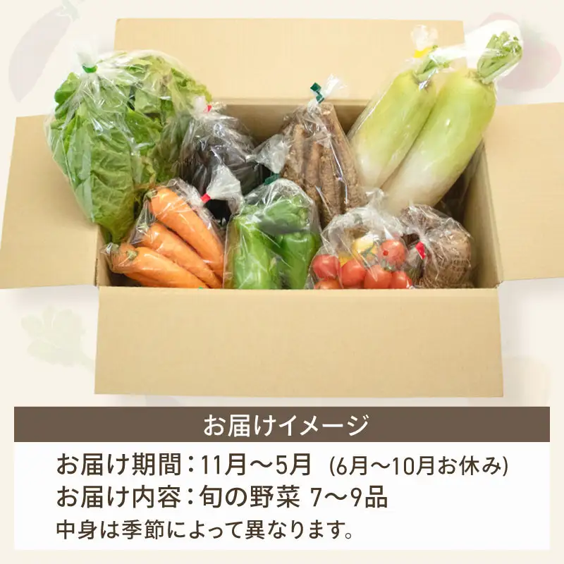 【野菜】新鮮野菜セット ( 7～9品 )
